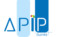 logo-apip